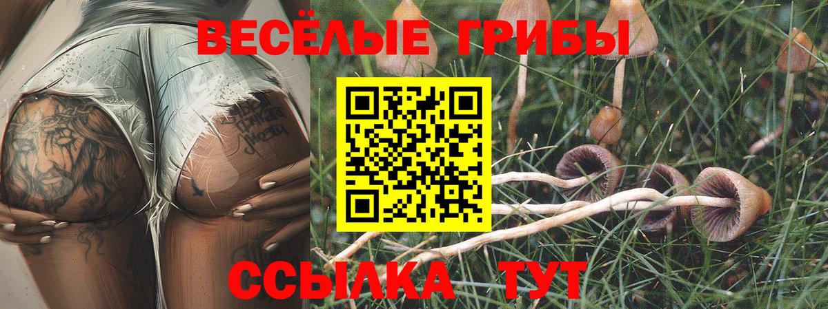 Галлюциногенные грибы прущие грибы Курган