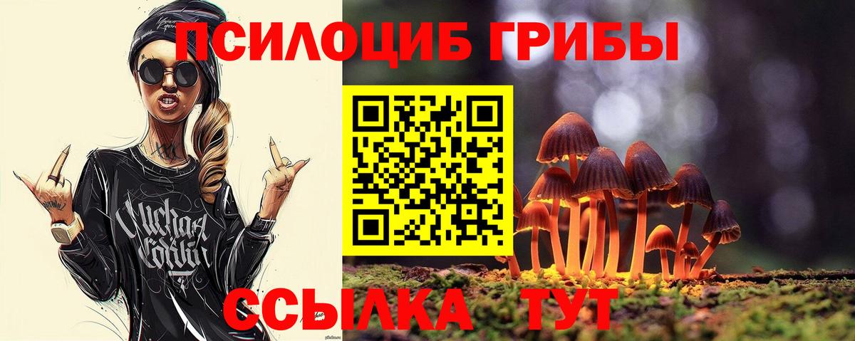 Курган  Галлюциногенные грибы MAGIC MUSHROOMS  Вход с VPN 